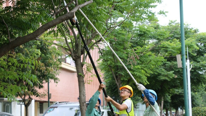 每個學生都有機會在課程中修剪樹木。